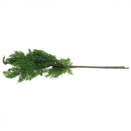 Floristik24 Kalėdinės šakelės kipariso šakelės dirbtinės žalios 72cm 2vnt