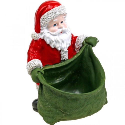 Floristik24 Kalėdų senelio sodinukas Kalėdų senelio vazonas 20×26cm