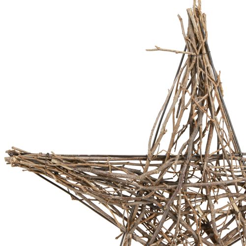 daiktų Puansetija iš šakų dekoratyvinė žvaigždė pakabinama 50cm
