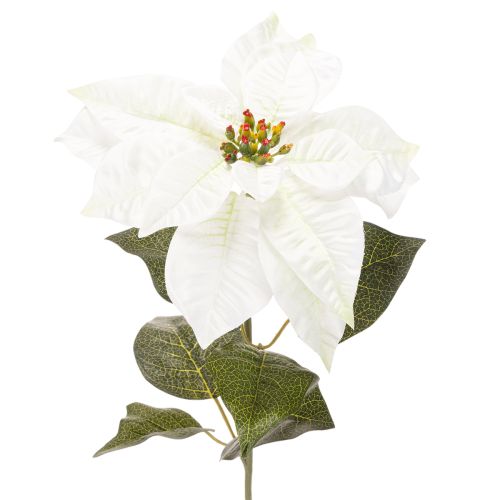 Dirbtinė balta puansetija, didelė žydinčių šakų dekoracija, 65 cm, 2 vnt.