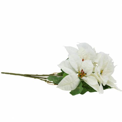 Floristik24 Puansetijos puokštė balta 52cm
