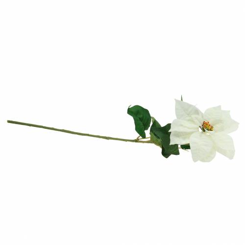 Floristik24 Puansetijos dirbtinė gėlė balta 67cm