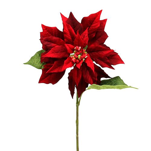 Floristik24 Kalėdų žvaigždė raudona 70cm