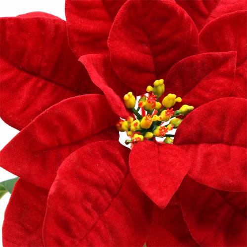 daiktų Puansetijos dirbtinė gėlė raudona 67cm