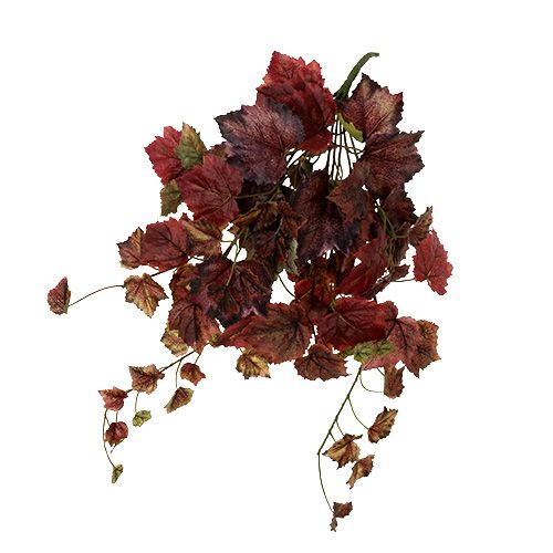 Floristik24 Vynuogių lapų kabykla žalia, bordo 67cm