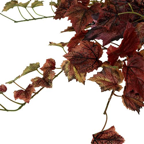 Floristik24 Vynuogių lapų kabykla žalia, bordo 67cm