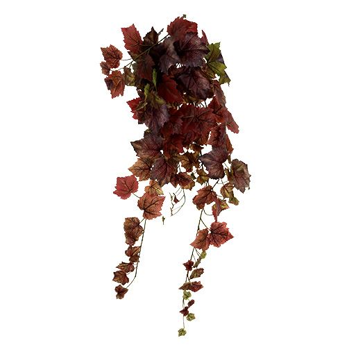 daiktų Vynmedžių lapų kabykla žalia, tamsiai raudona 100cm