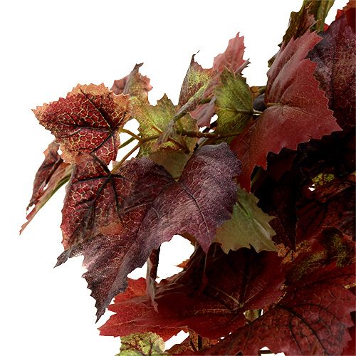 daiktų Vynmedžių lapų kabykla žalia, tamsiai raudona 100cm