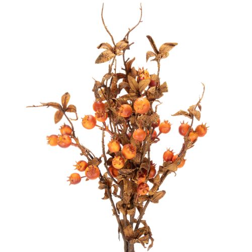 Dirbtinė gudobelės šakelė, rudens dekoracija, 75 cm | Floristik24.lt