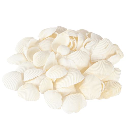 Floristik24 White Shells Dekoratyviniai širdžiai 2-3,5cm 300g × 2vnt