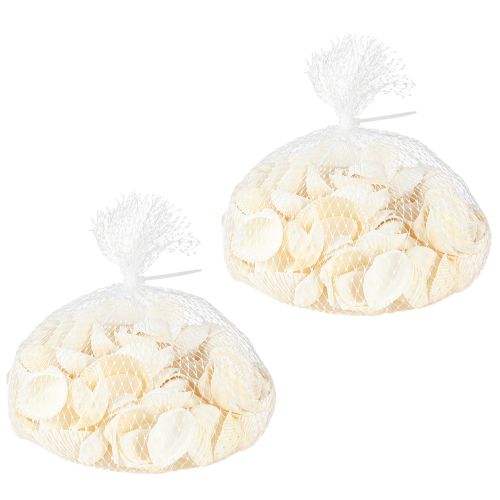 Floristik24 White Shells Dekoratyviniai širdžiai 2-3,5cm 300g × 2vnt