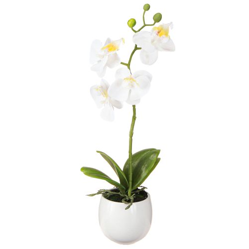 Baltos dirbtinės orchidėjos vazone Phalaenopsis H33cm