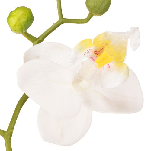 daiktų Baltos dirbtinės orchidėjos vazone Phalaenopsis H33cm