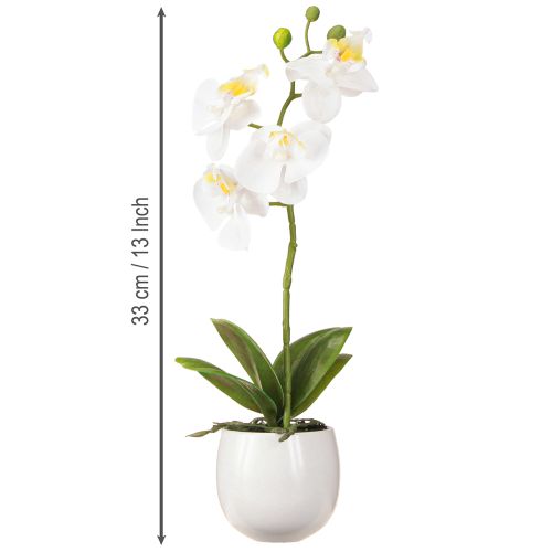 daiktų Baltos dirbtinės orchidėjos vazone Phalaenopsis H33cm