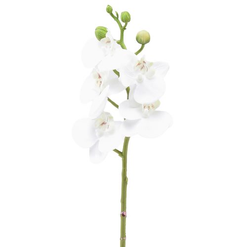 Balta dirbtinė orchidėja Phalaenopsis Real Touch 32cm