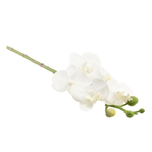 daiktų Balta dirbtinė orchidėja Phalaenopsis Real Touch 32cm