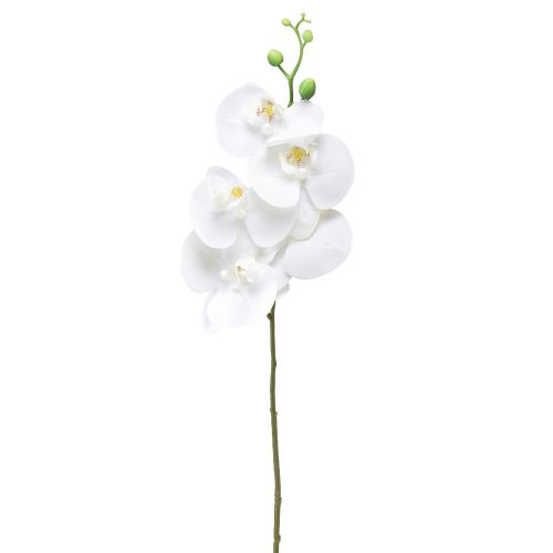 Floristik24 Balta dirbtinė orchidėja Phalaenopsis Real Touch 85cm
