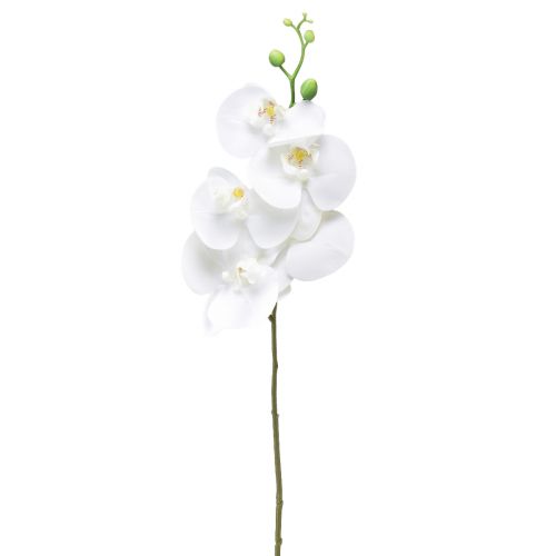 daiktų Balta dirbtinė orchidėja Phalaenopsis Real Touch 85cm