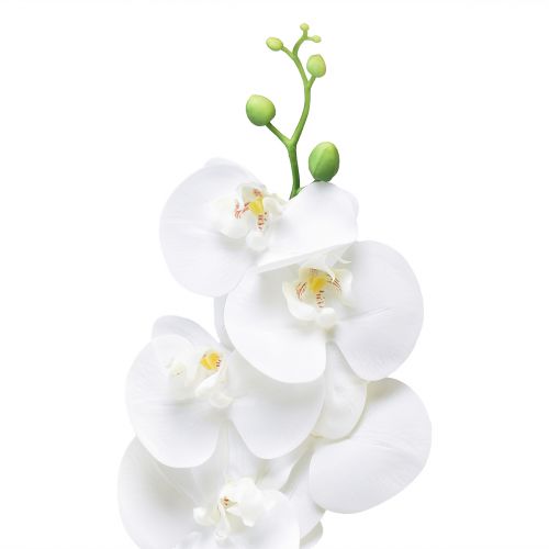 daiktų Balta dirbtinė orchidėja Phalaenopsis Real Touch 85cm