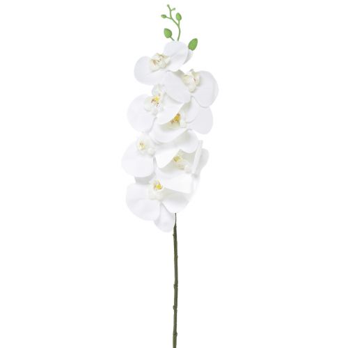 Balta dirbtinė orchidėja Phalaenopsis Real Touch H83cm