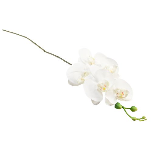 daiktų Balta dirbtinė orchidėja Phalaenopsis Real Touch H83cm