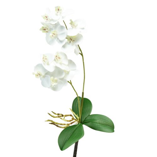 Balta orchidėja ant Pick Artificial Phalaenopsis Real Touch 39cm