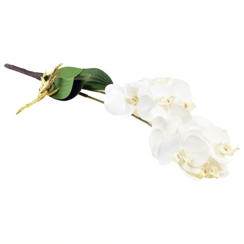 daiktų Balta orchidėja ant Pick Artificial Phalaenopsis Real Touch 39cm