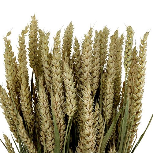 daiktų Kviečių kekė natūralių deko kviečių 1 kekė 150g