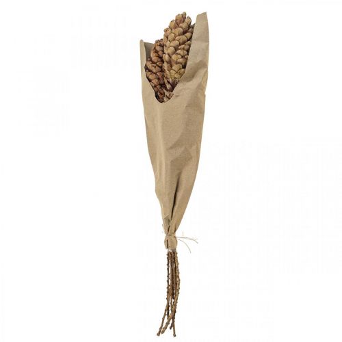 Floristik24 Balti kankorėžiai kankorėžiai H70cm 7 vnt