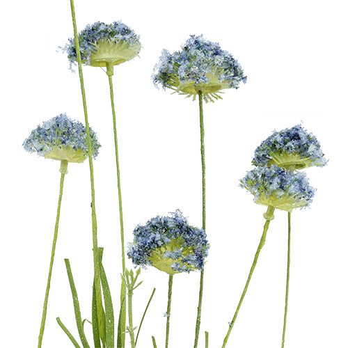 Floristik24 Pievų gėlės mėlynos L65cm 3vnt