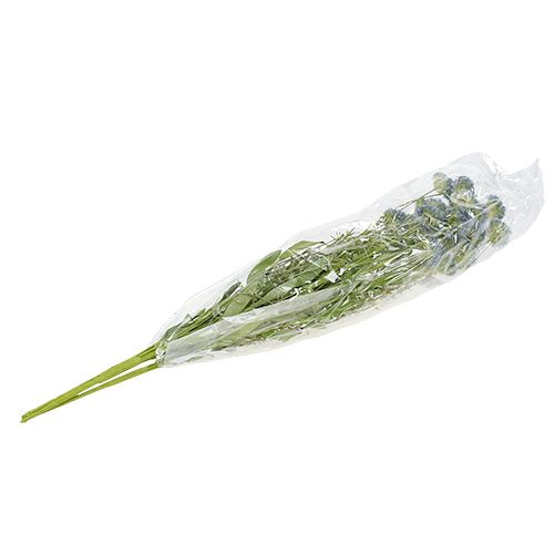 Floristik24 Pievų gėlės mėlynos L65cm 3vnt