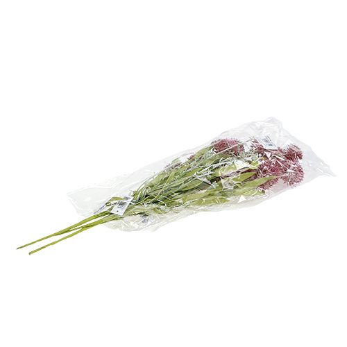 Floristik24 Pievų gėlės raudonos L60cm 3vnt