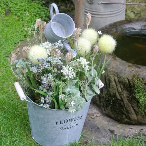 Floristik24 Laukinių gėlių kekė, natūrali kraujažolė, plauta balta 30-60cm 150g