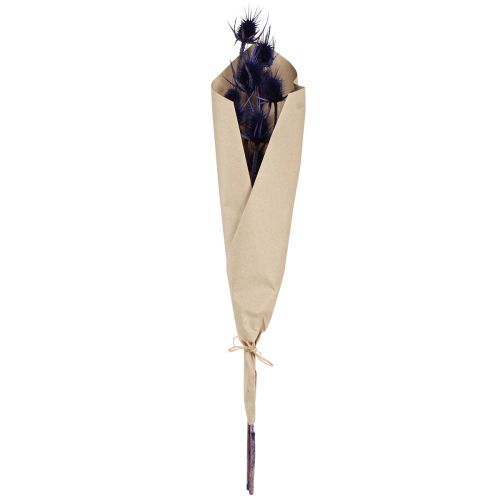 daiktų Wild Teasel Džiovintos Gėlės Teasel Thistles Purple 55cm 10 galvučių