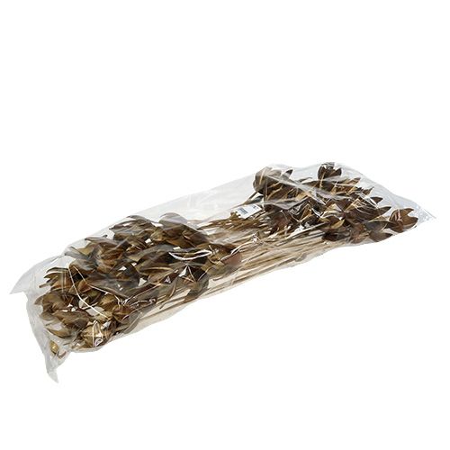 daiktų Laukinė lelija ant stiebo natūralios spalvos Ø6,5cm L55cm 45 vnt