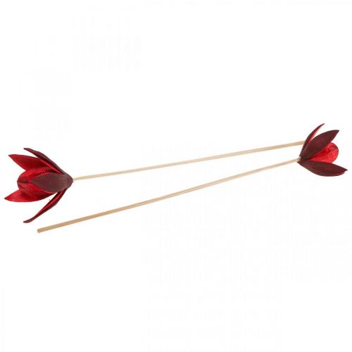 Floristik24 Laukinė lelija ant stiebo raudona Ø6,5cm 35cm 45 vnt