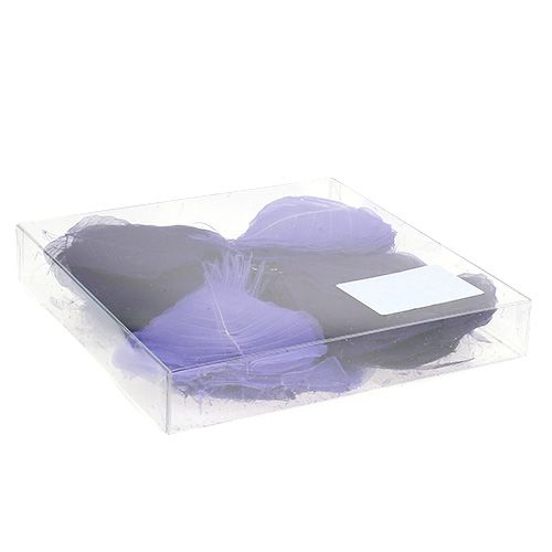 Floristik24 Gluosnių lapai skeletuoti violetine rūšimi. 200 vienetų