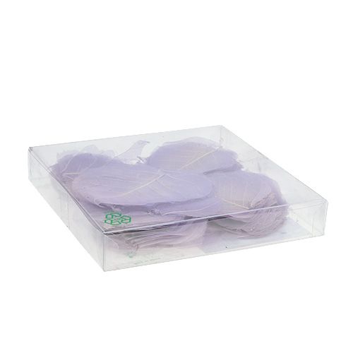 Floristik24 Gluosnių lapai skeletuoti šviesiai violetiniai 200 vnt.