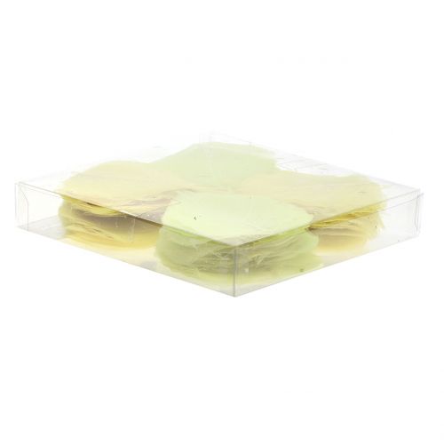 Floristik24 Gluosnių lapai skeletuoti geltona mišrainė 200 vnt