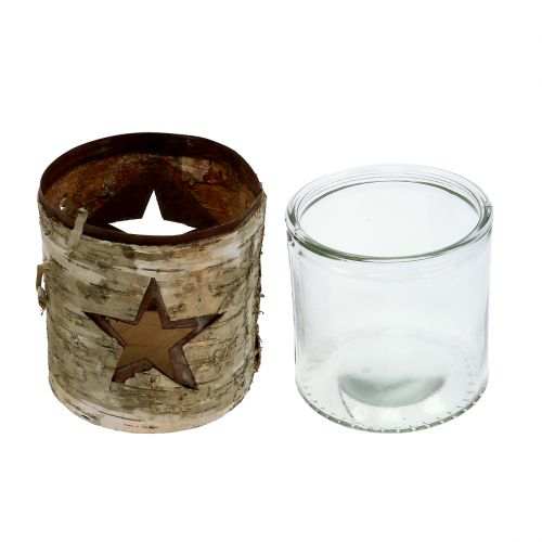 Floristik24 Žibinto žvaigždė su beržu Ø10,5cm H11cm 1vnt