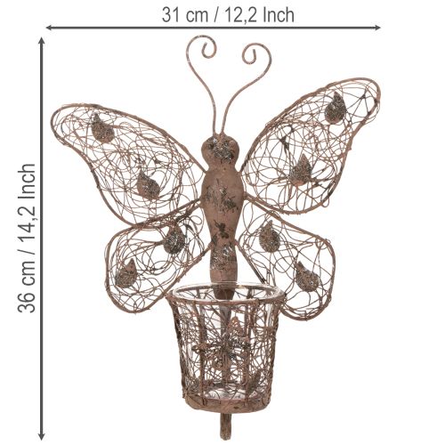 Metalinis žibintas, sienų dekoracija, drugelis, rūdžių spalvos, 36,5 cm | Floristik24.lt