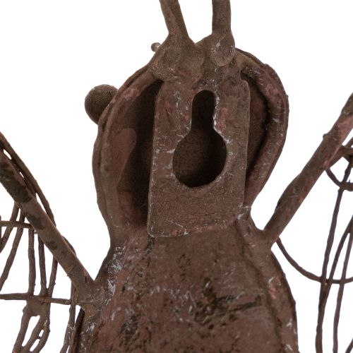 Metalinis žibintas, sienų dekoracija, drugelis, rūdžių spalvos, 36,5 cm | Floristik24.lt