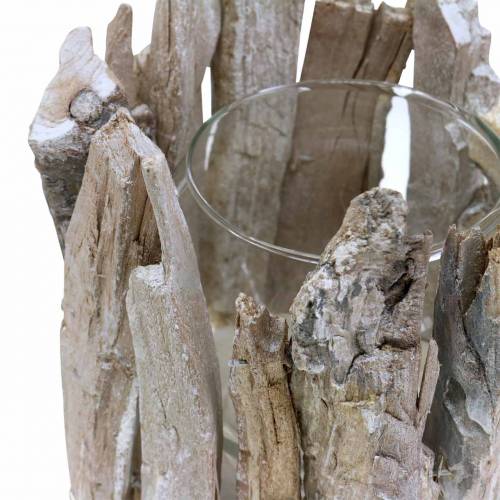 Floristik24 Žibinto medis baltai skalbtas Ø14cm H14cm