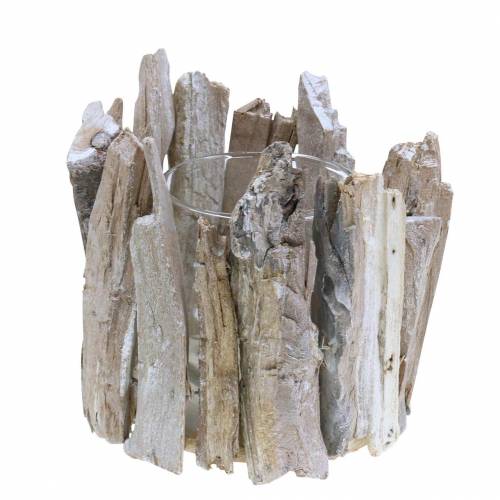 Floristik24 Žibinto medis baltai skalbtas Ø14cm H14cm