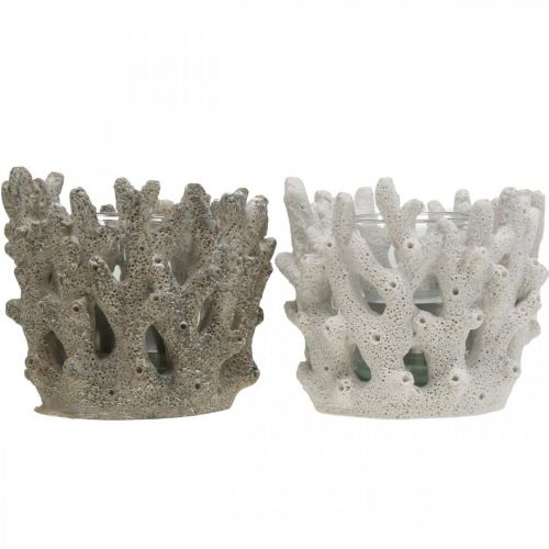 Floristik24 Žibintas su stiklu koralinio dizaino jūrinės dekoracijos baltas dirbtinis Ø9,5cm 2vnt