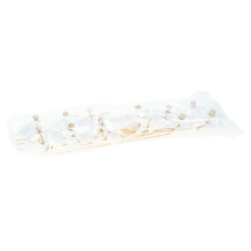Floristik24 Vėjo malūnas Mini White Ø9cm 12vnt