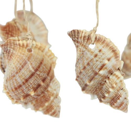 daiktų Vėjo varpelio jūrinė dekoracija su natūraliu kokosu Ø12,5cm 48cm