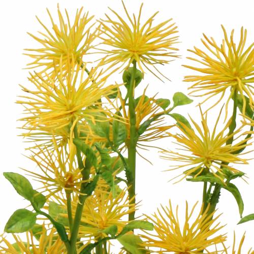Floristik24 Xanthium šilko gėlė geltona 53cm 6vnt