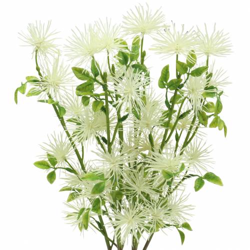 Floristik24 Xanthium šilko gėlė balta 53cm 6vnt