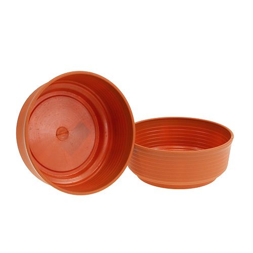 Floristik24 Z formos dubuo plastikinis 18cm 10 vnt
